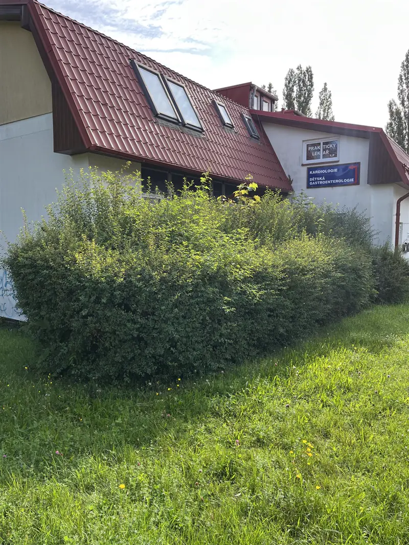 Údržba zeleně u firemního areálu